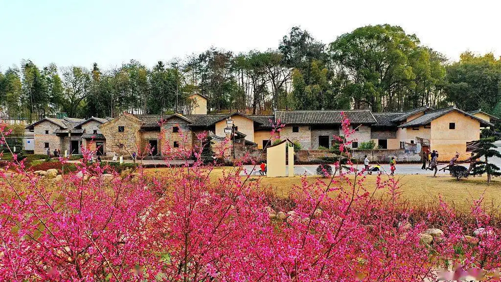 會昌縣風(fēng)景獨(dú)好園打造沉浸式體驗(yàn)和傳承紅色文化